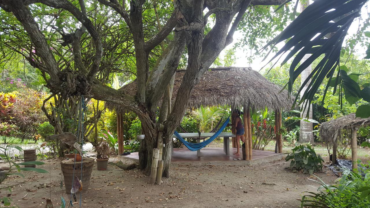 Las Cabanas De La Iguana Ayampe Exterior foto